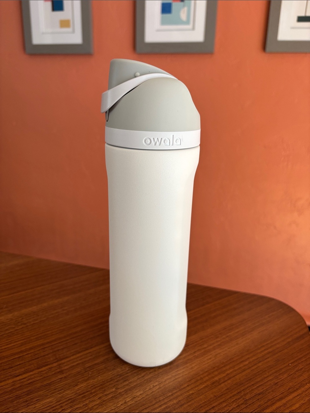 Owala White & Light Gray Insulated Water Bottle